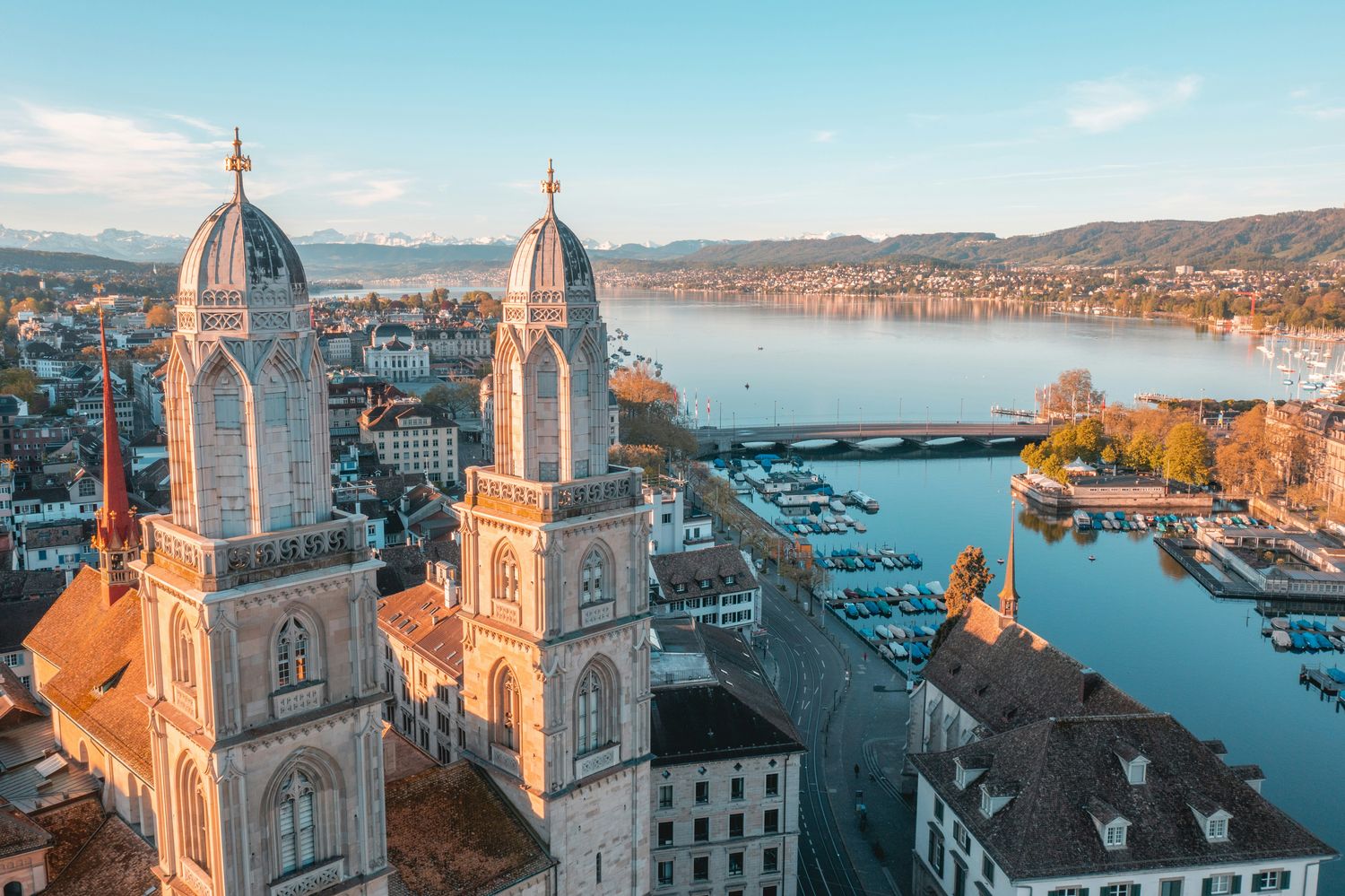 Het meer van Zürich met de stad en de Alpen op de achtergrond